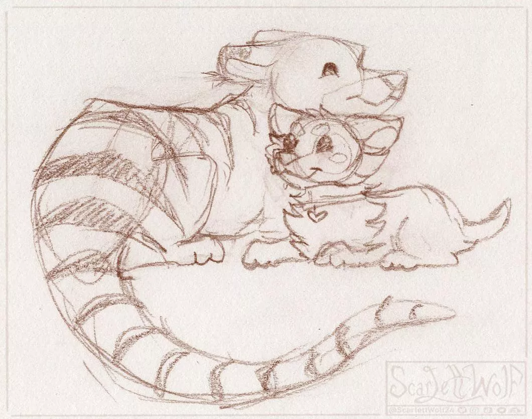 One day a little puppy got lost in the Tasmanian rainforest and befriended a Thylacine 💕💕