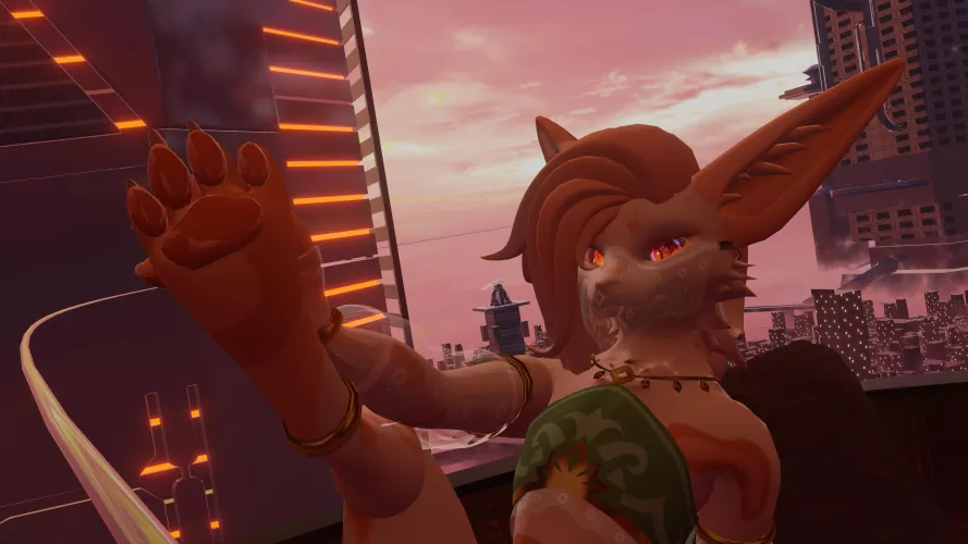 Paw for you 🐾🐾🐾