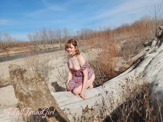 Pull up my sundress and bend me over this log