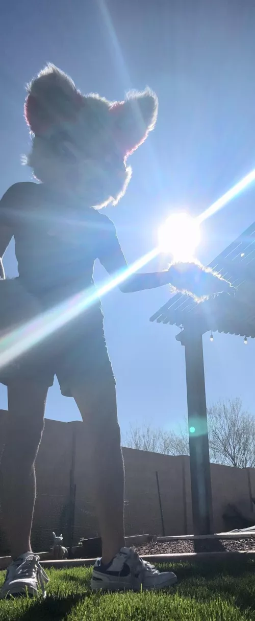 She grants you one superpower..which are you taking?