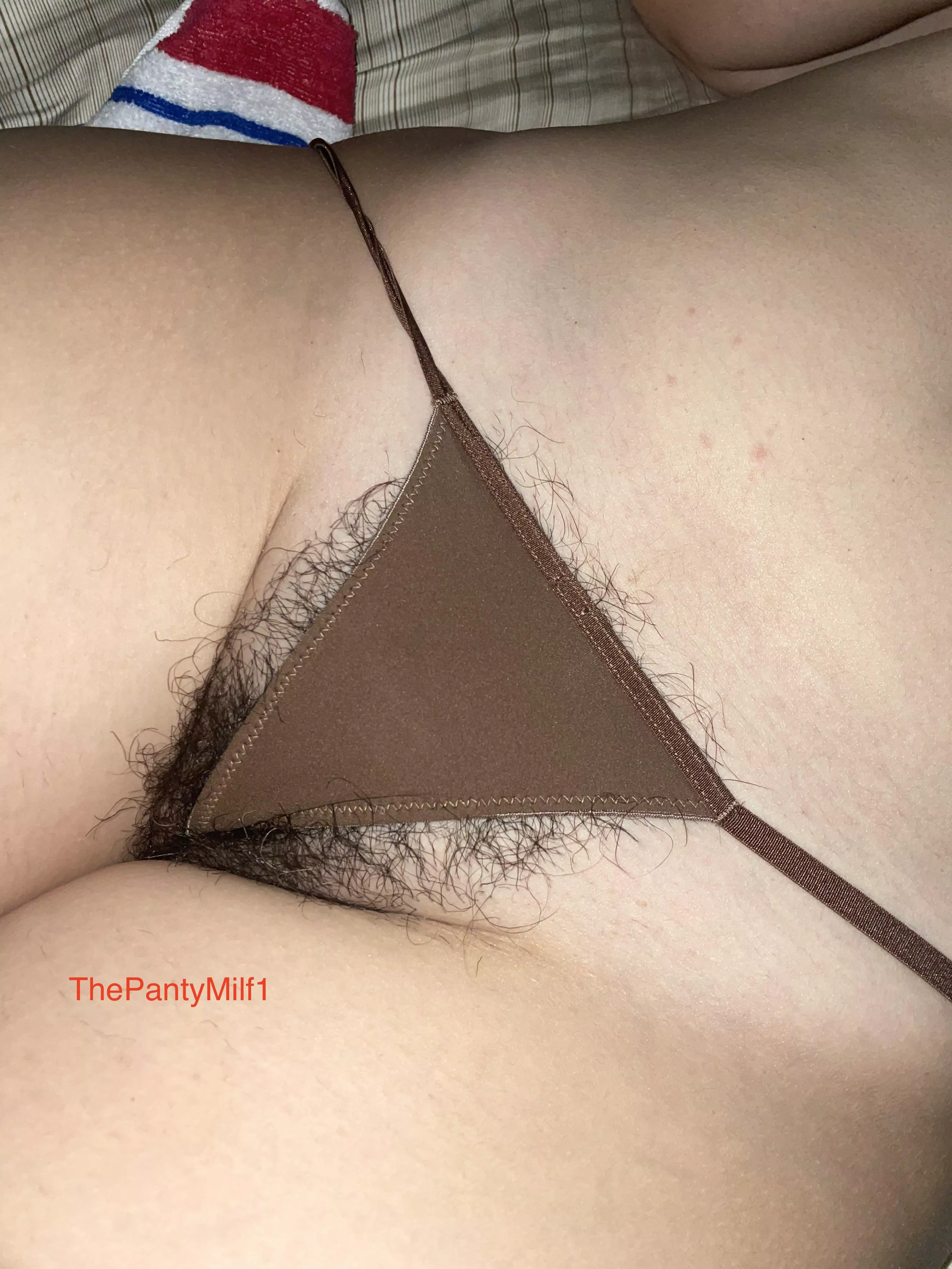 The Winter bush | 2024