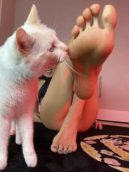 Top, sole, and a furry photobomb