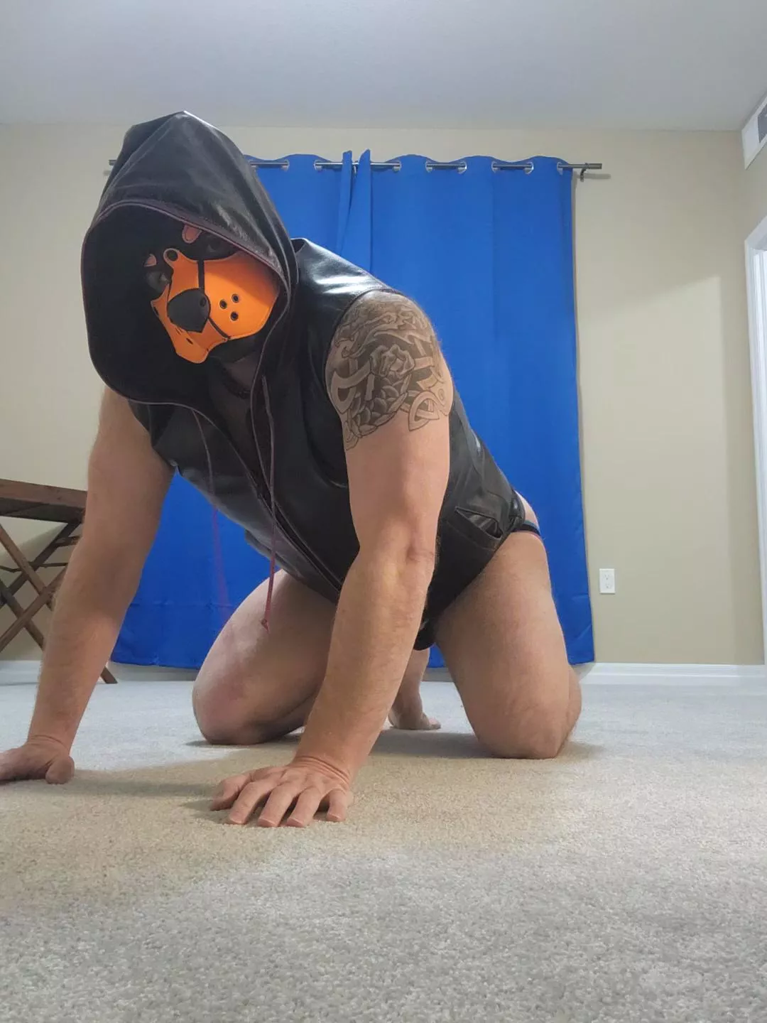 Wruff!  Loving my leather hoodie. 