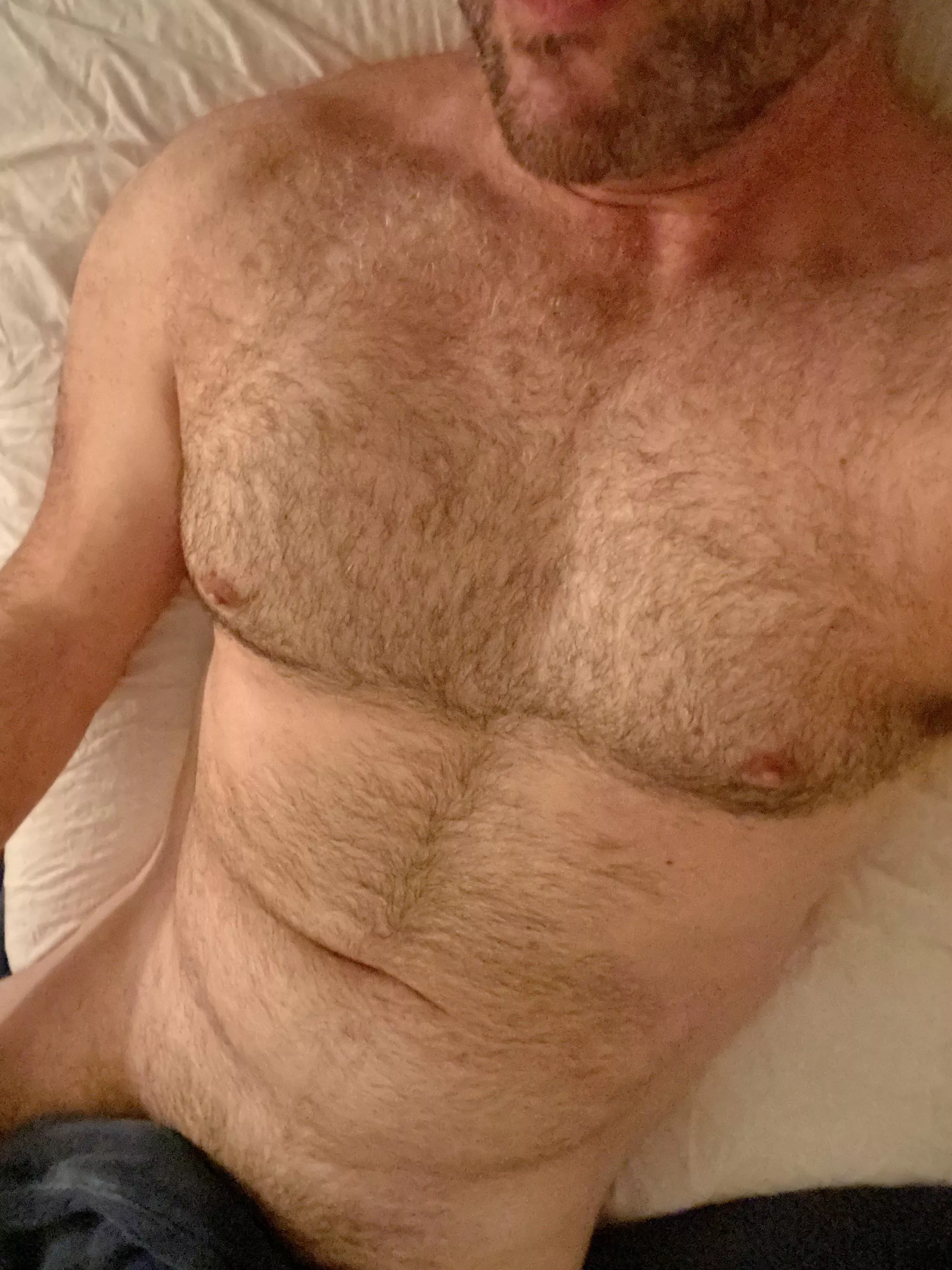Yes, or No? (42)