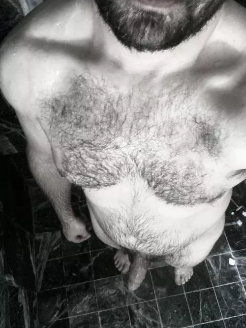 (36) Do you like my chest hair dry or wet?