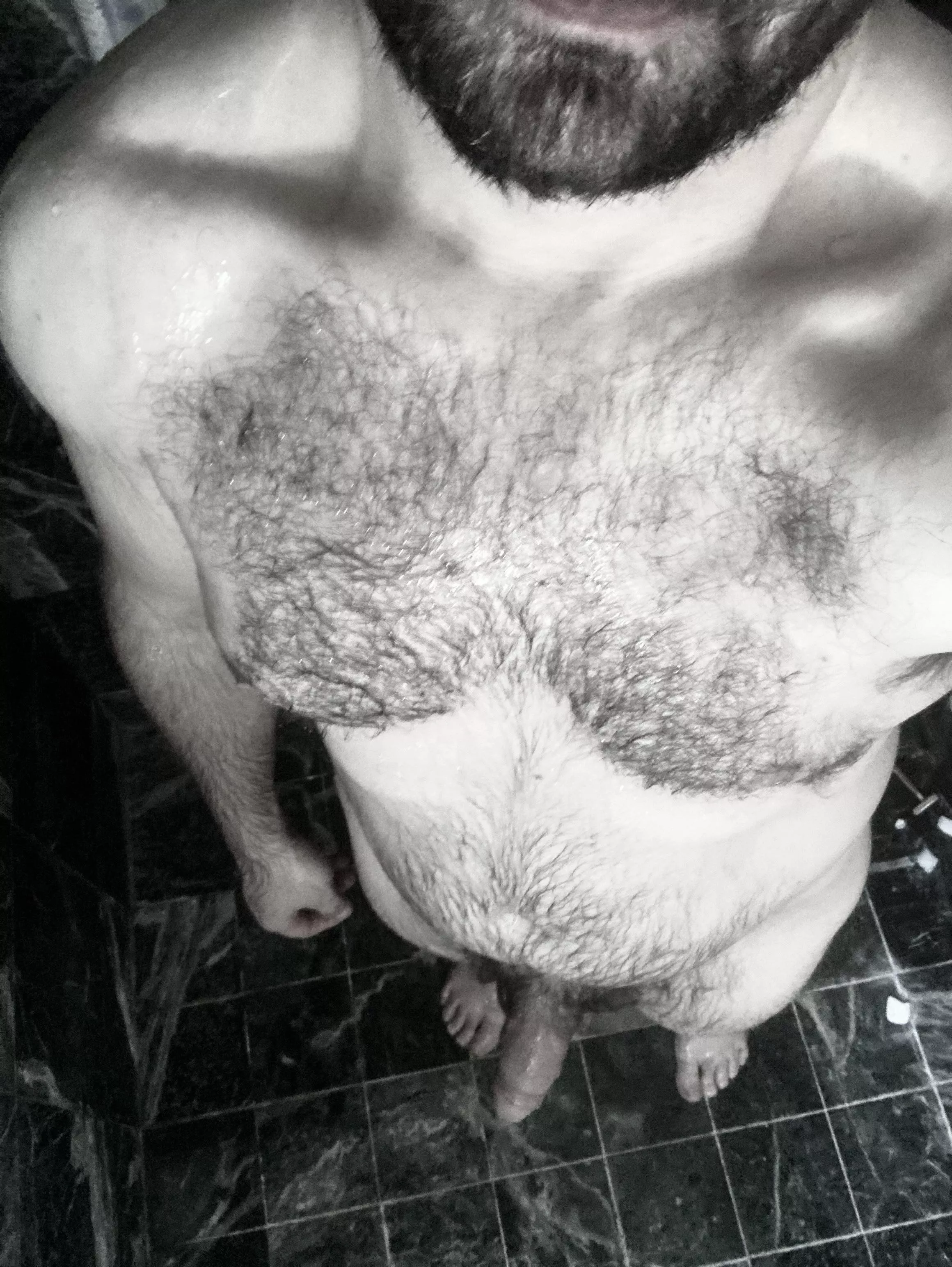(36) Do you like my chest hair dry or wet?