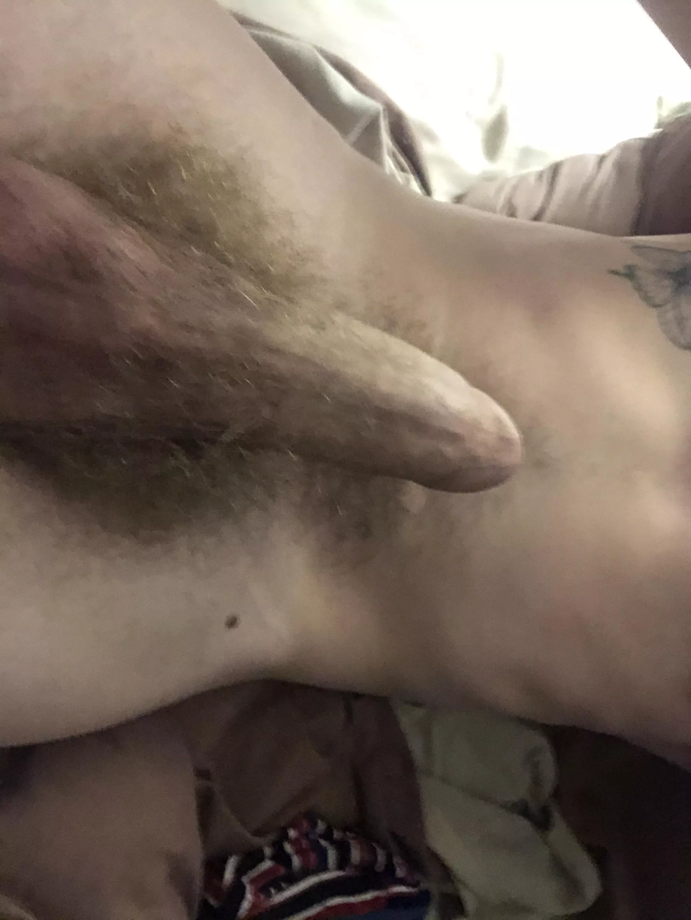 Any love for hairy gingers?