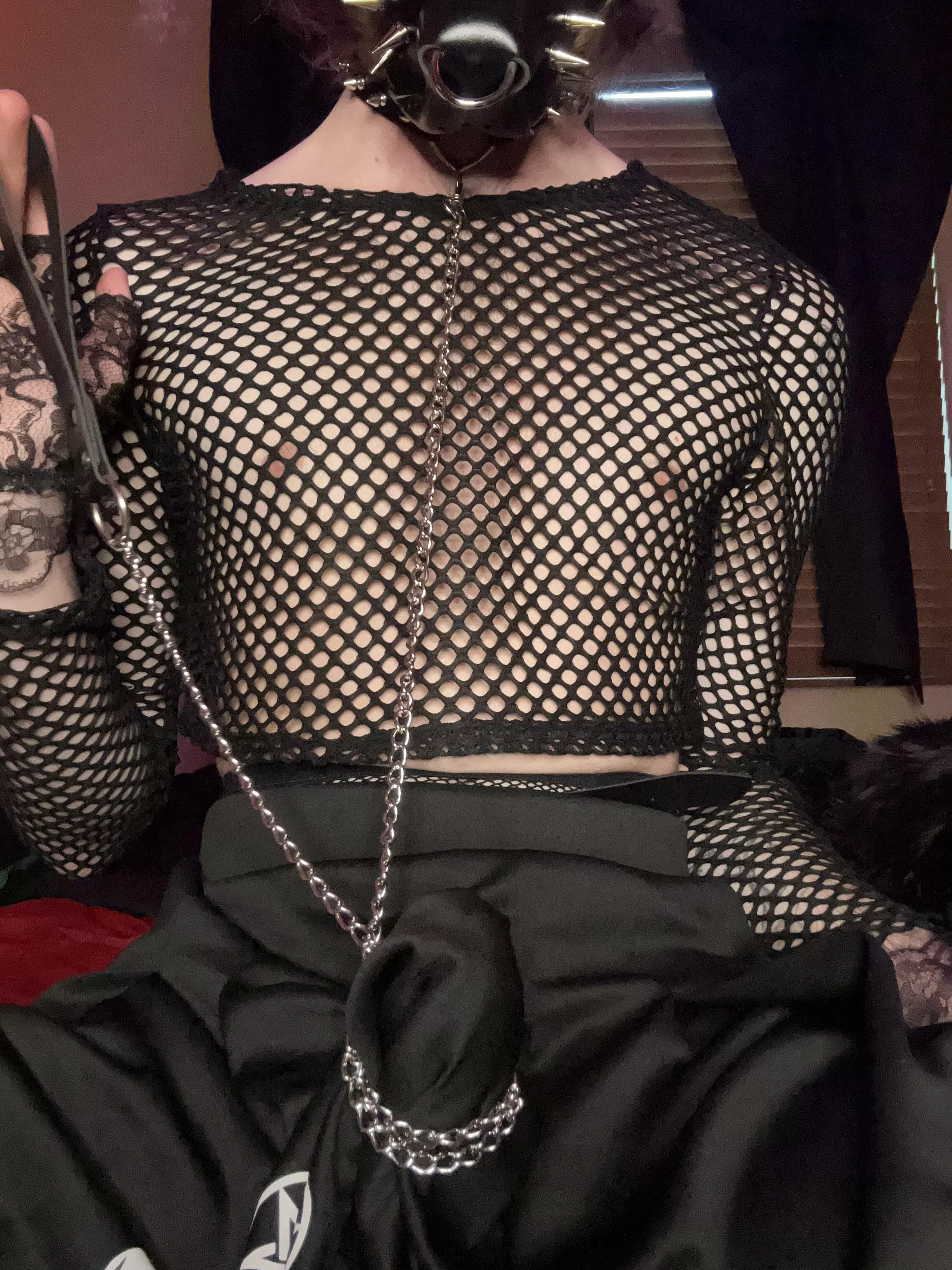 Anyone wanna help the pup untangle?