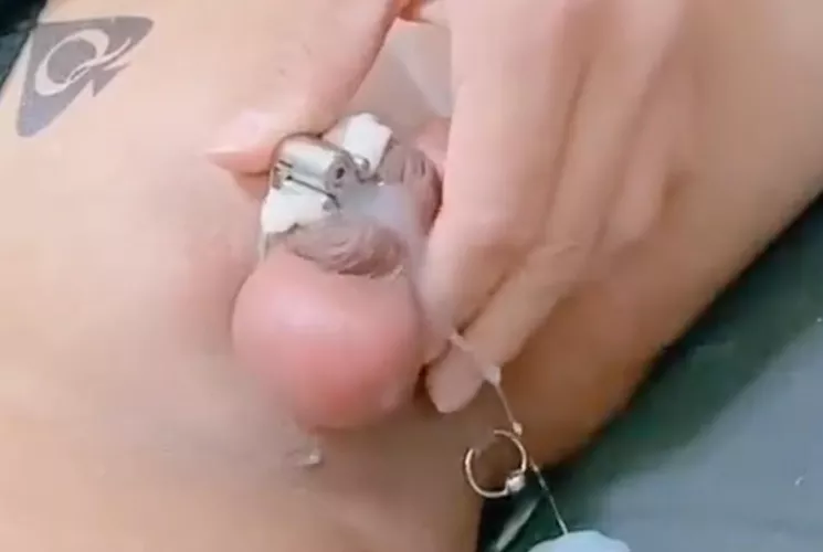 Can anyone identify this cage/device?