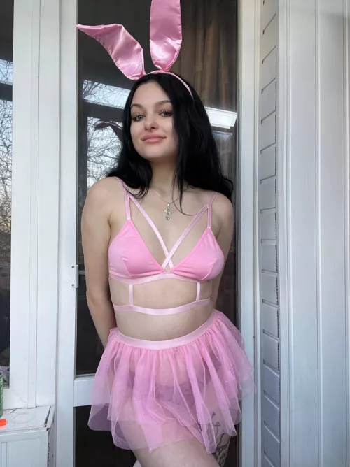 Cute bunny looks at your carrot