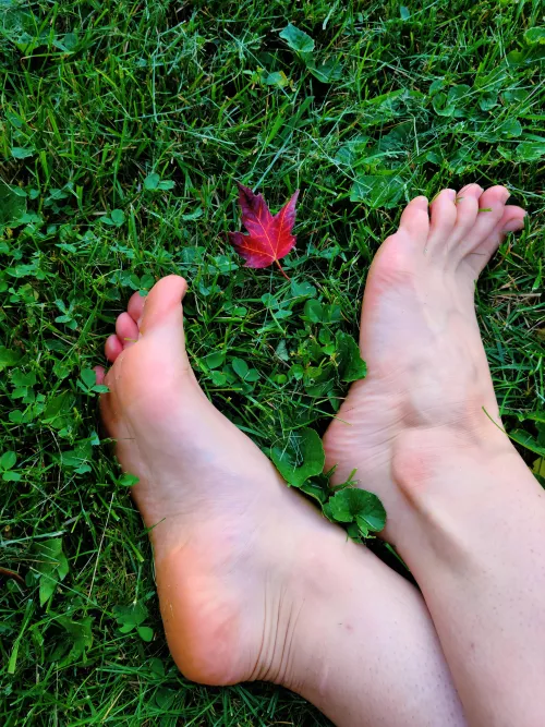 Feet in the grass