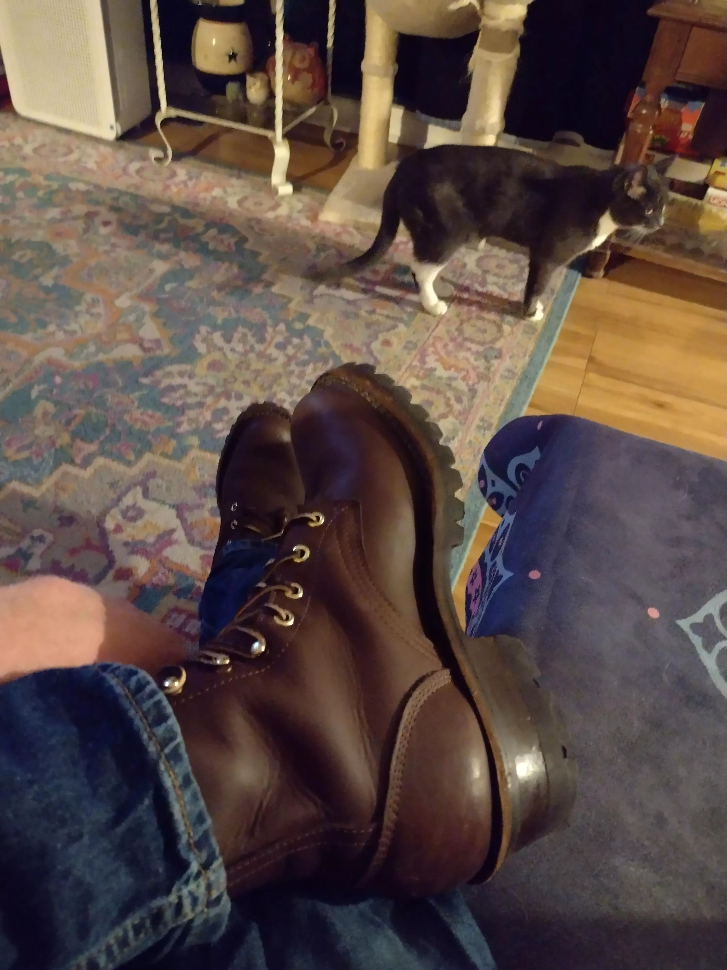 Frank's Patriots out here fighting the good fight in the airfield and flyfishing in the Boulder fields.  