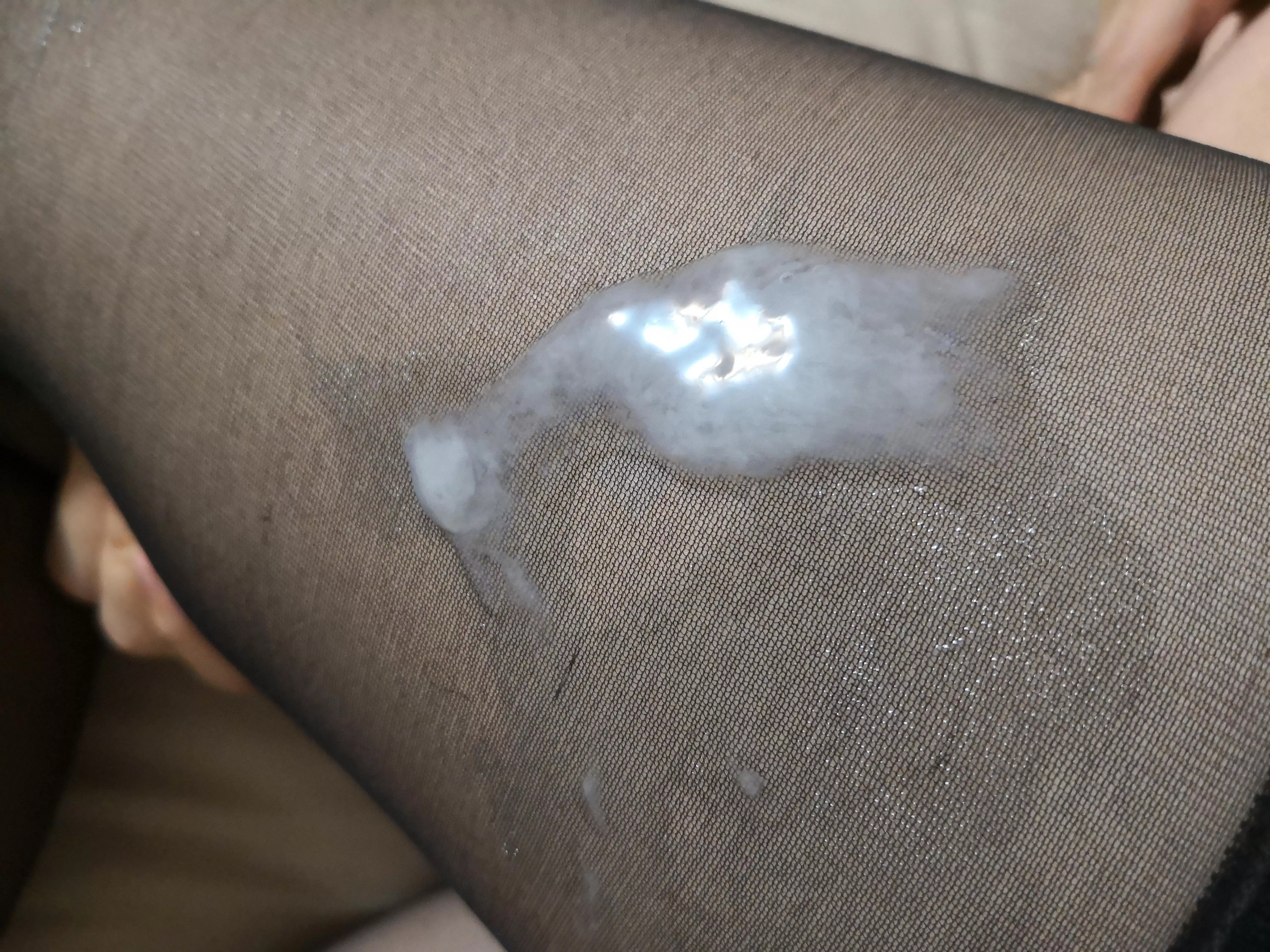 glazed northern asian legs