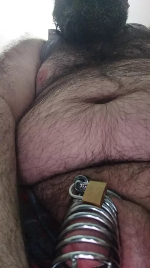 Hairy and beary 