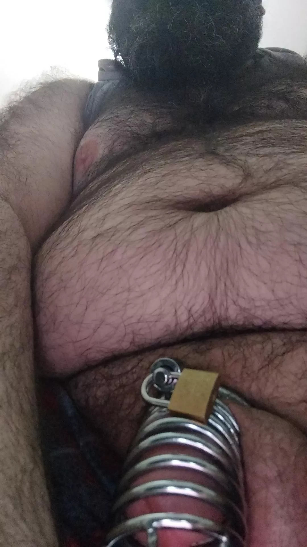 Hairy and beary 