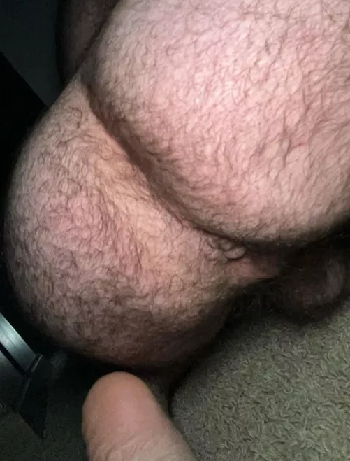 Hairy and round