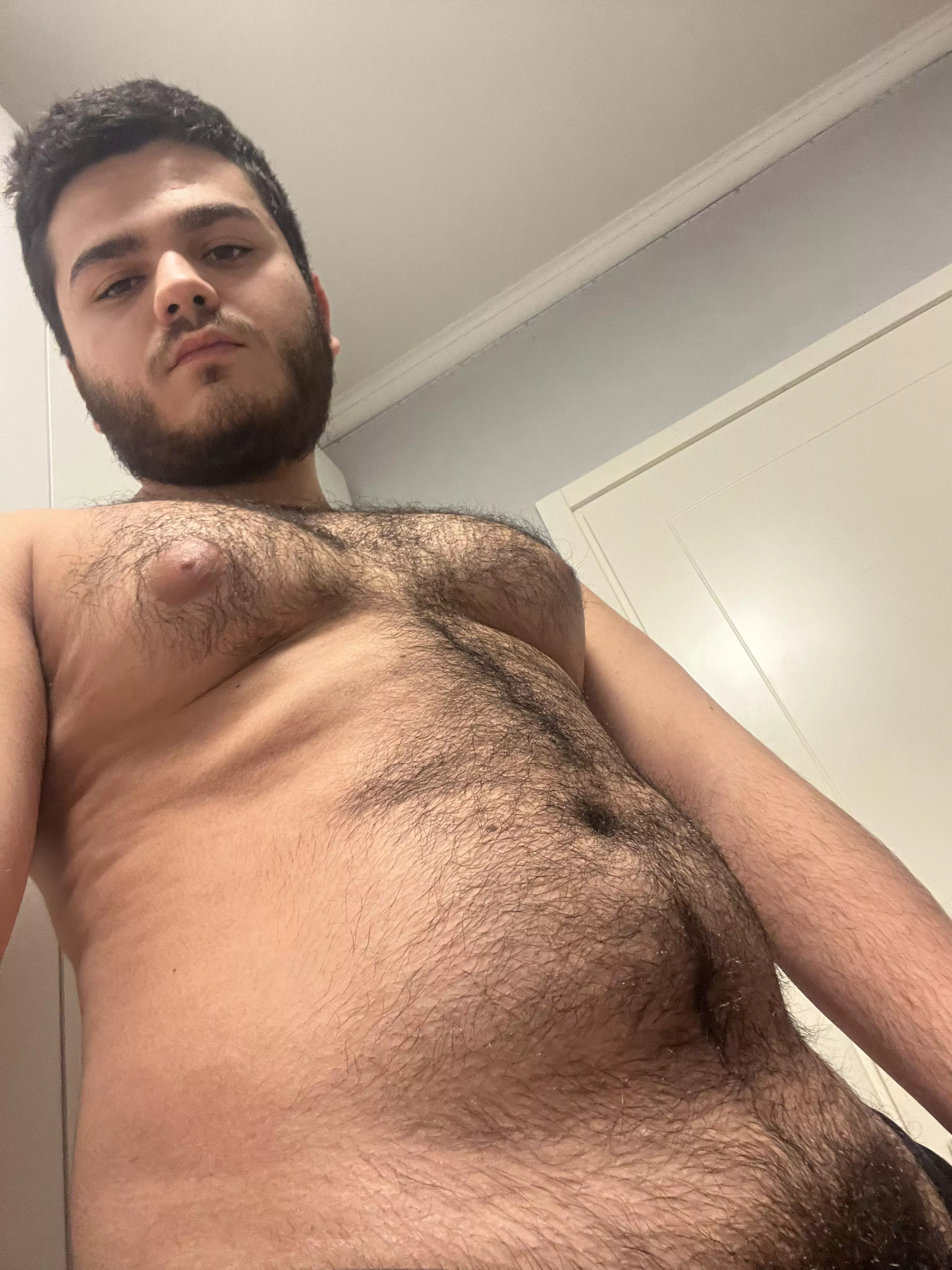 Hairy cub