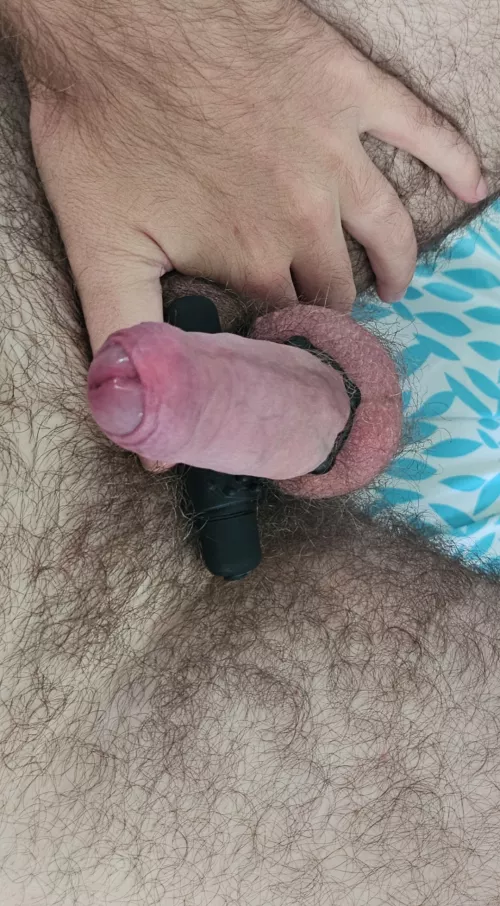 Hairy uncut cock. Does anyone like it ? 
