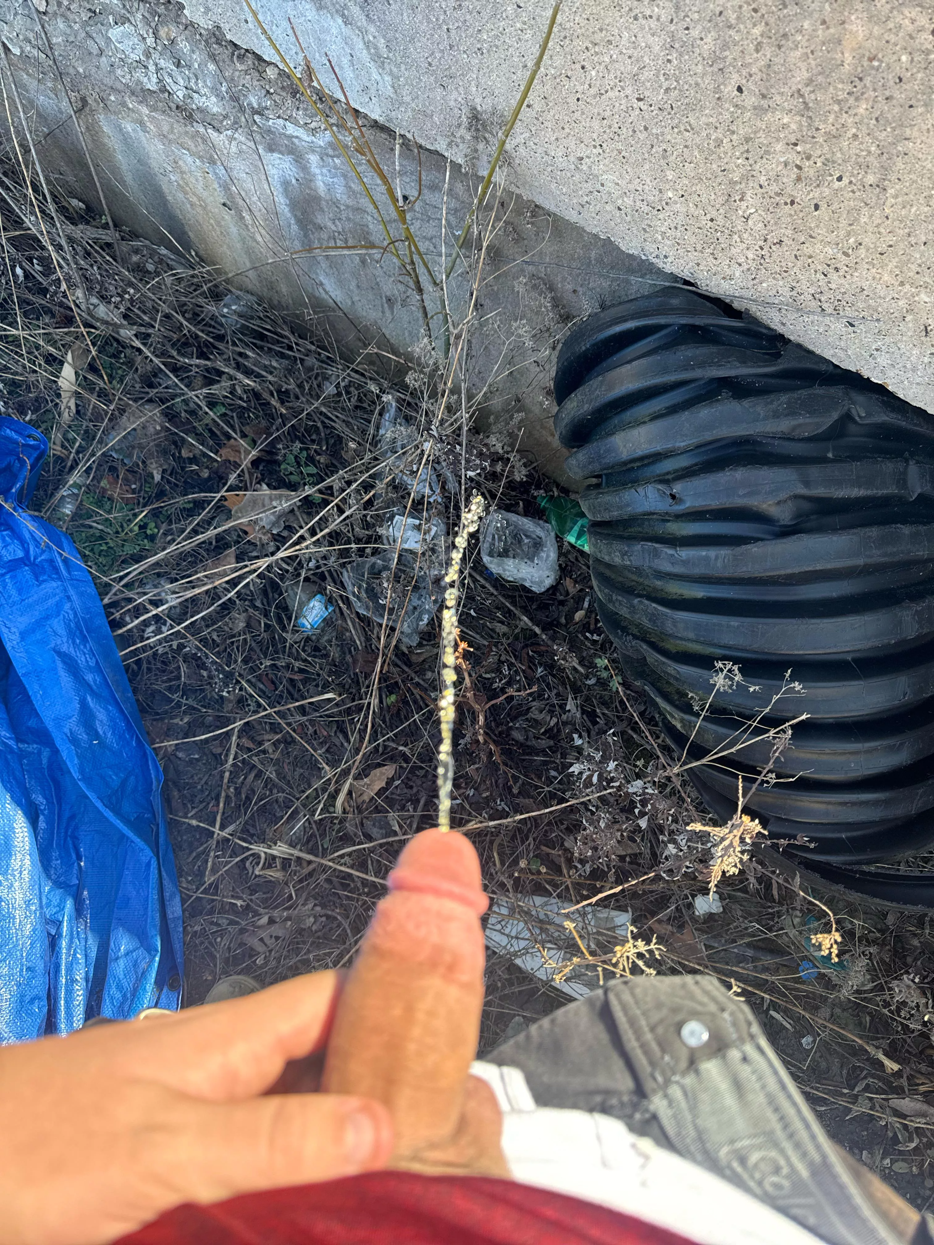 Hot piss while at work