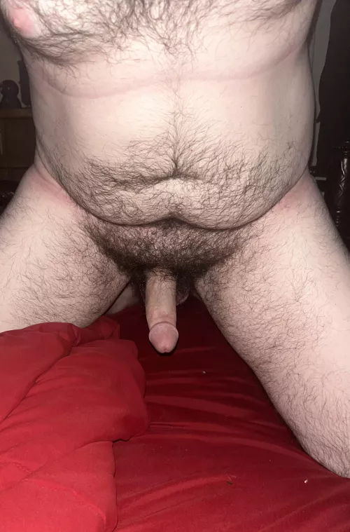 I’d love to be crawling between your legs