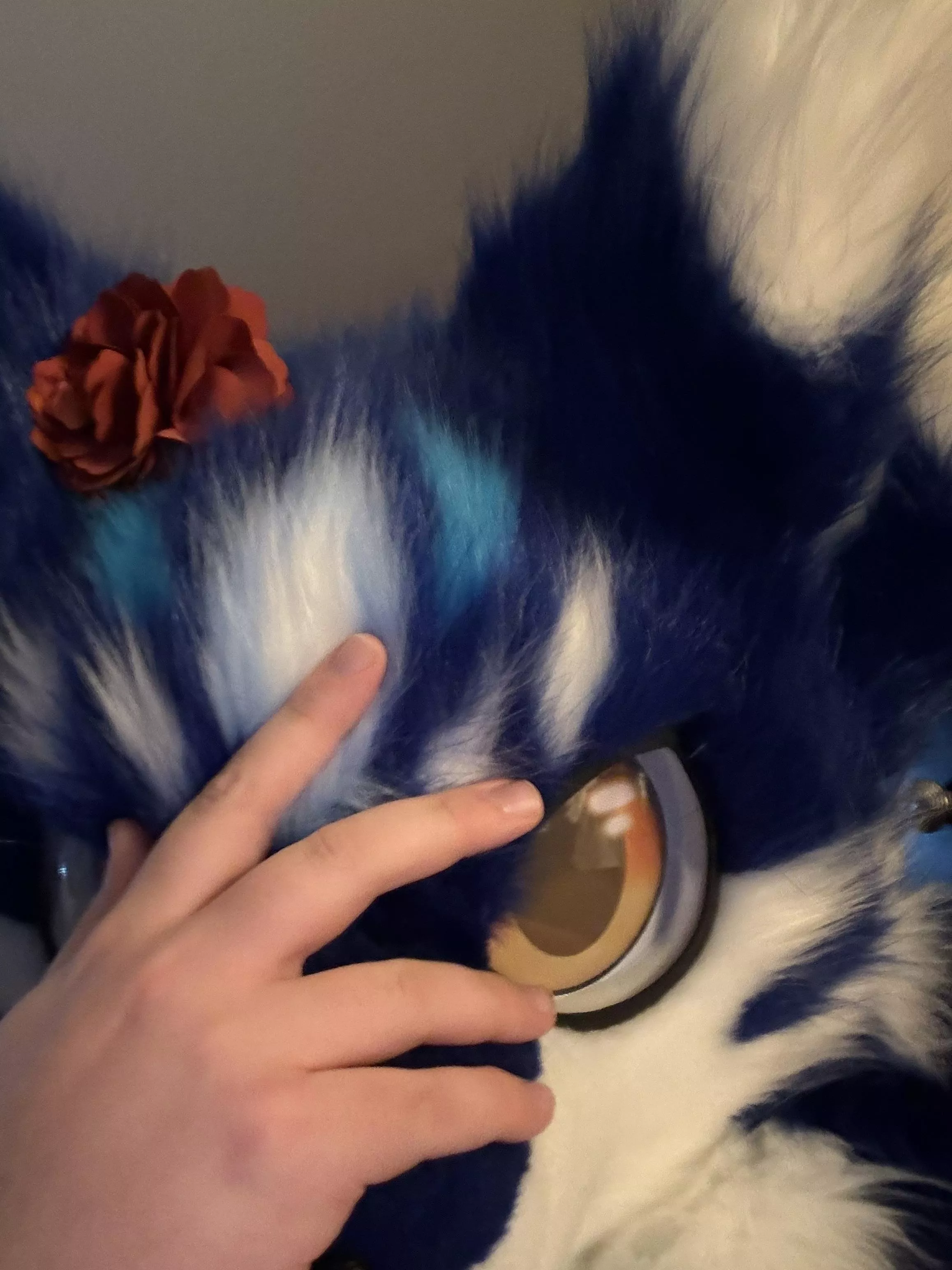 I’m slowly loosing my mind!!