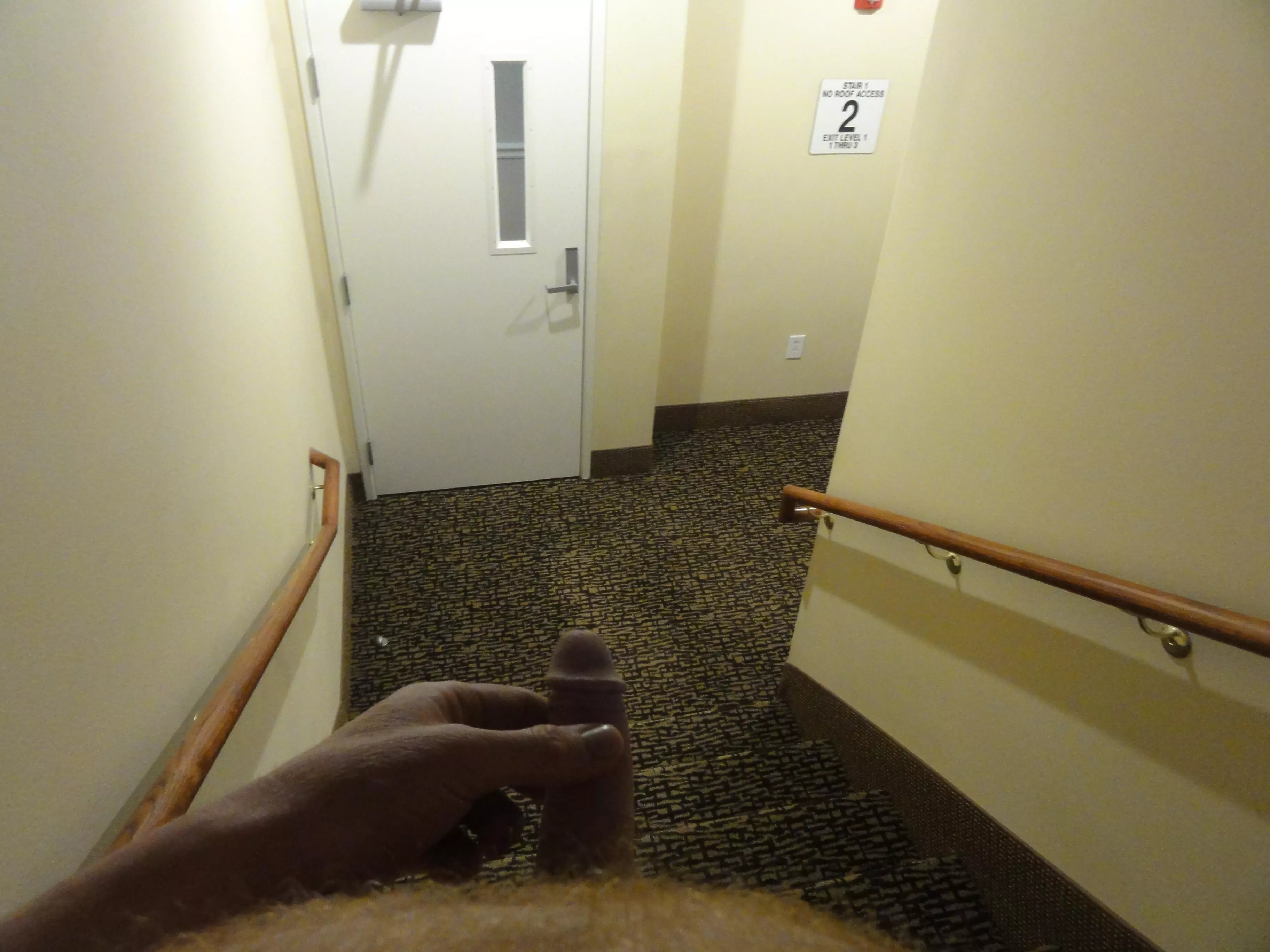 In the Hotel Stairway