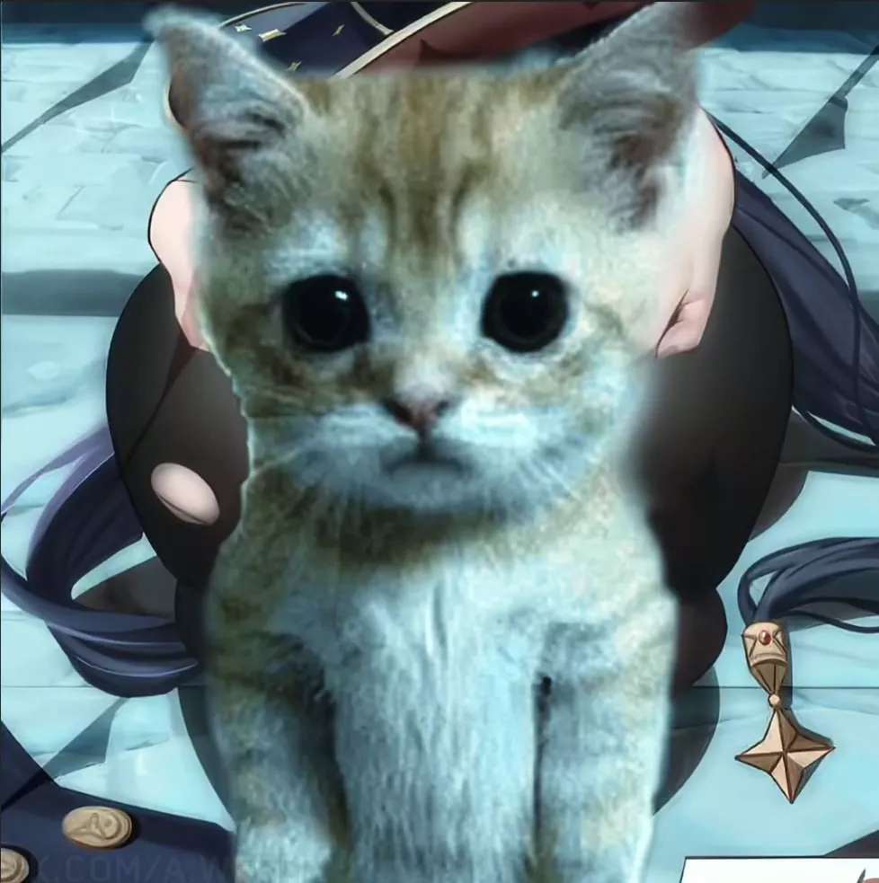 LF color source: 1girl, spread ass, meme, ass focus, on floor, black hair, hair ornament, hat, dogeza, doggystyle, torn thighhighs, mona, genshin impact.