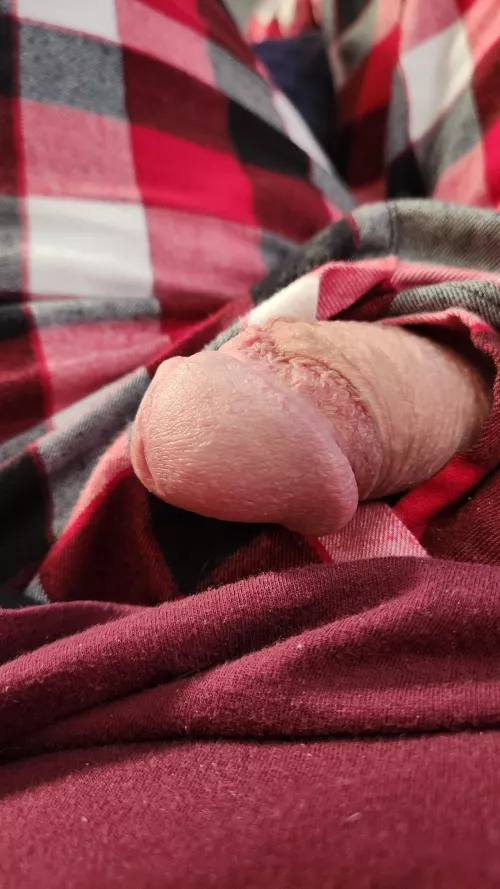 Monday Morning hanging out on Reddit ...(59) Bi Dad