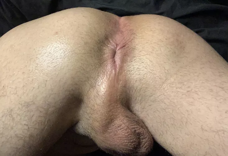 Mount it or devour it?