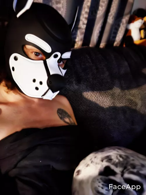 new hood ^3^ well, also my first one! make me woof.