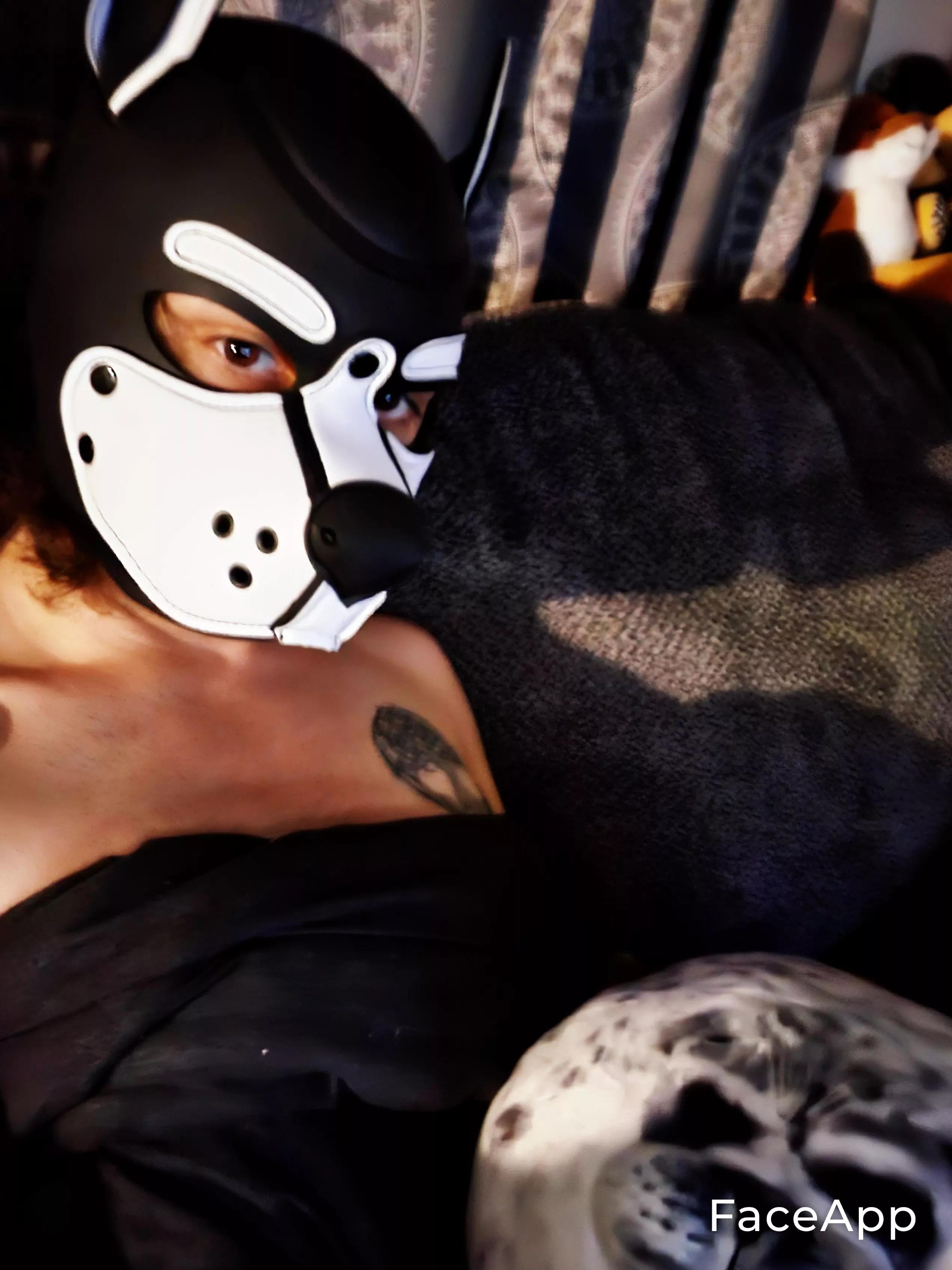 new hood ^3^ well, also my first one! make me woof.