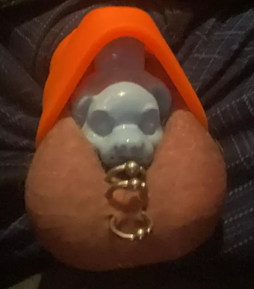 Pup wearing his cone