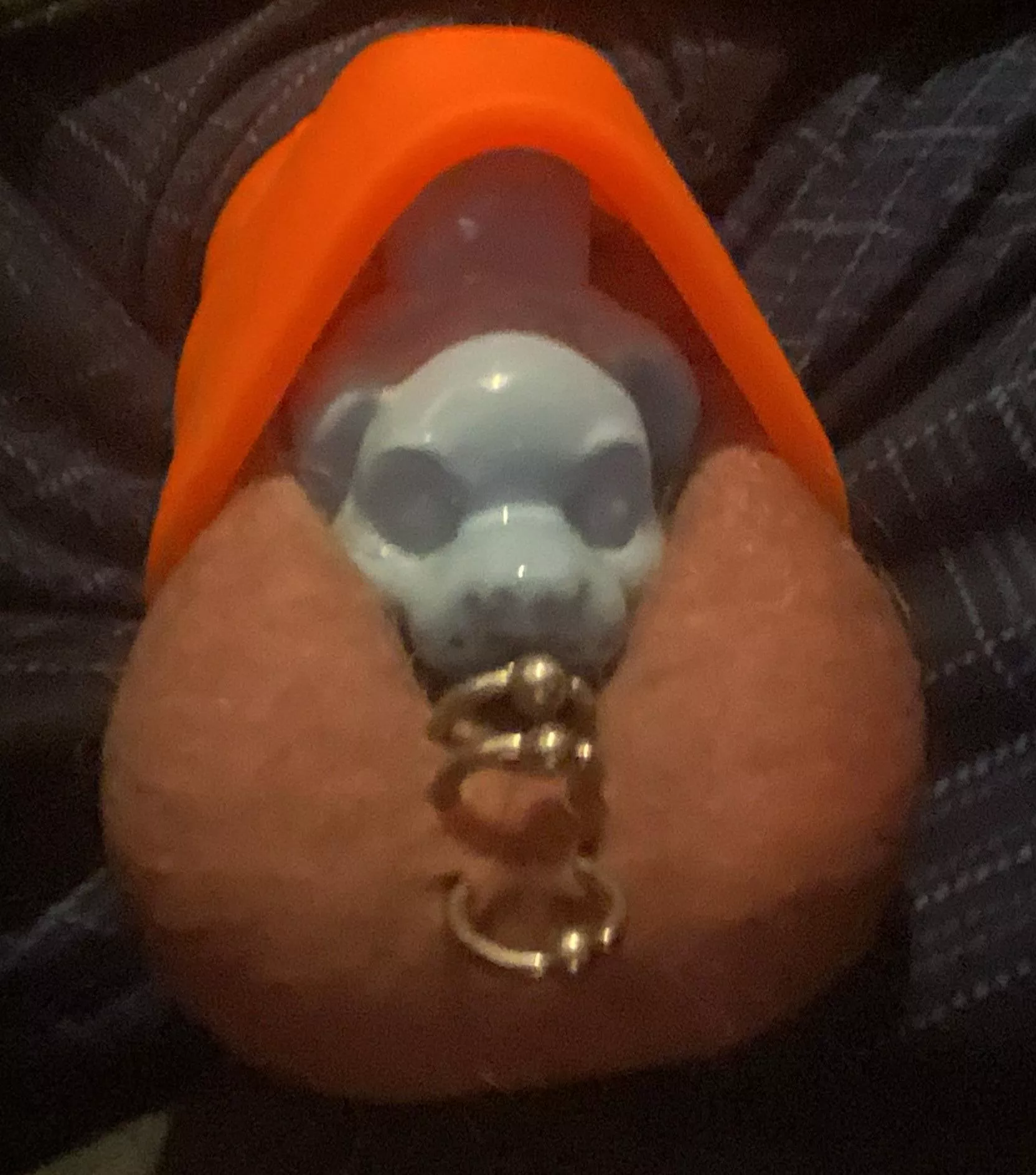 Pup wearing his cone