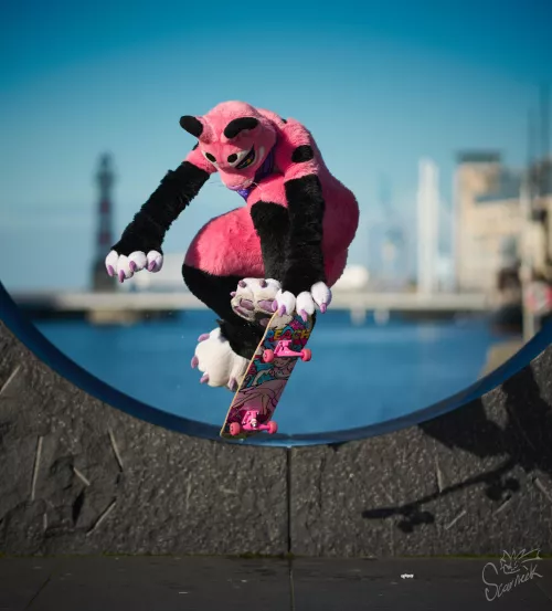 Purrfect shot of a purrfectly okay skateboarding lioness on a beautiful sunny day! 😻💖