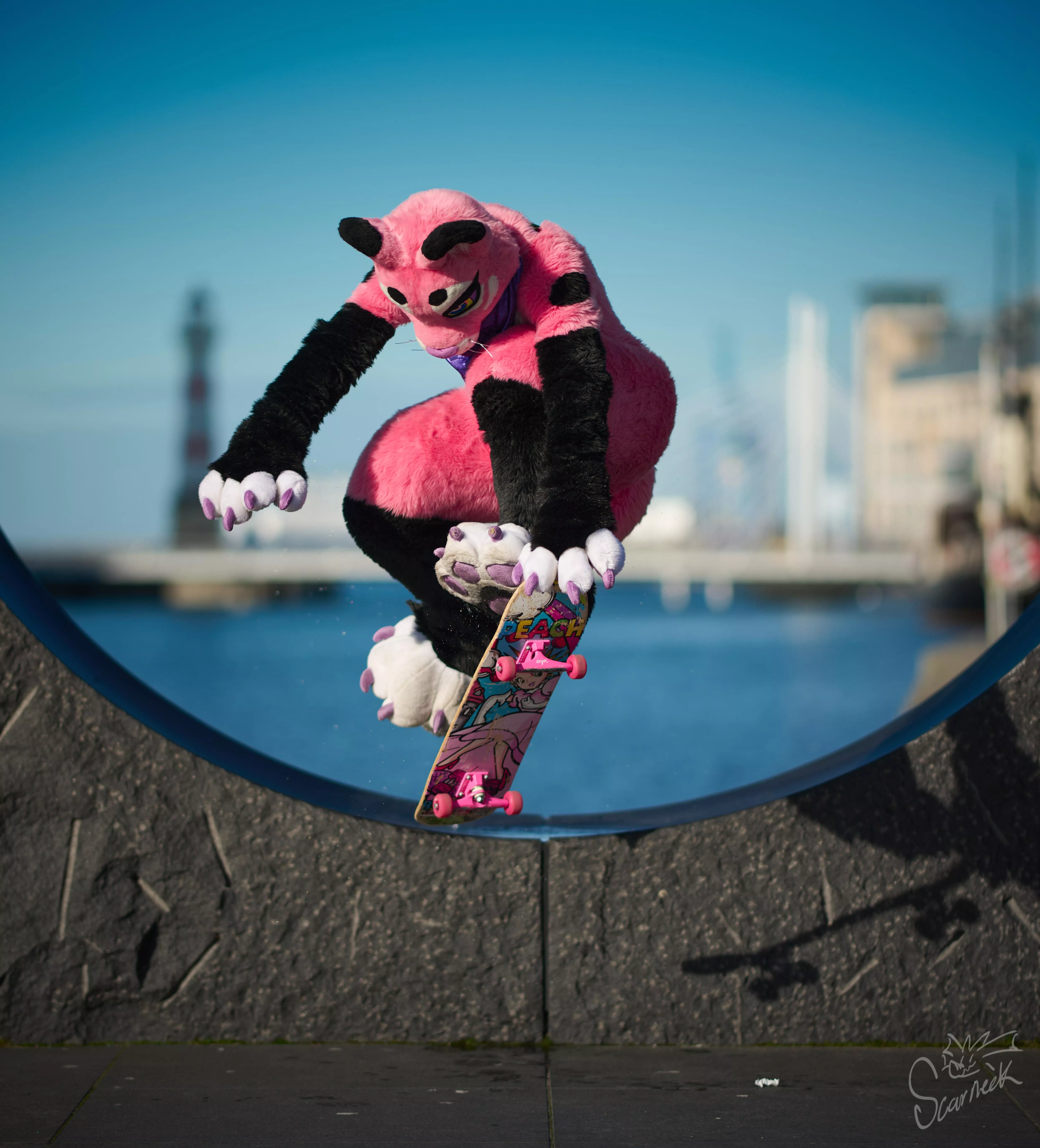 Purrfect shot of a purrfectly okay skateboarding lioness on a beautiful sunny day! 😻💖