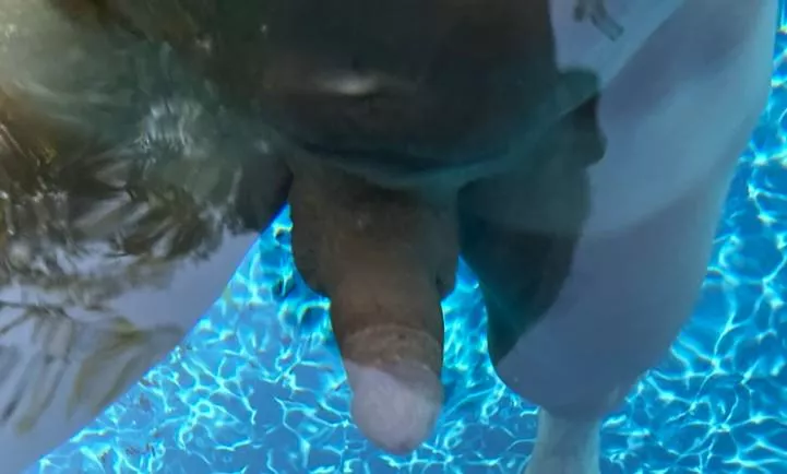 ready for summer, who's behind me ? [50]