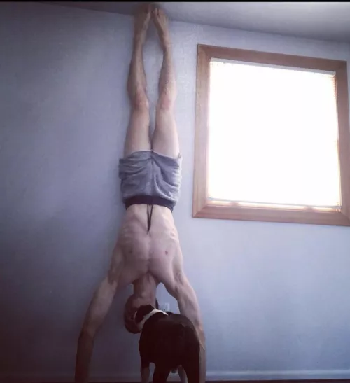 Someone has seen Spider-Man