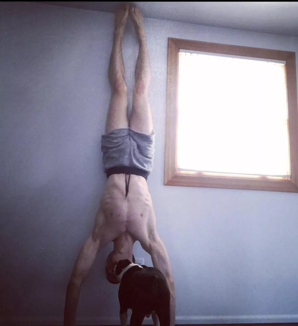 Someone has seen Spider-Man Someone has seen Spider-Man