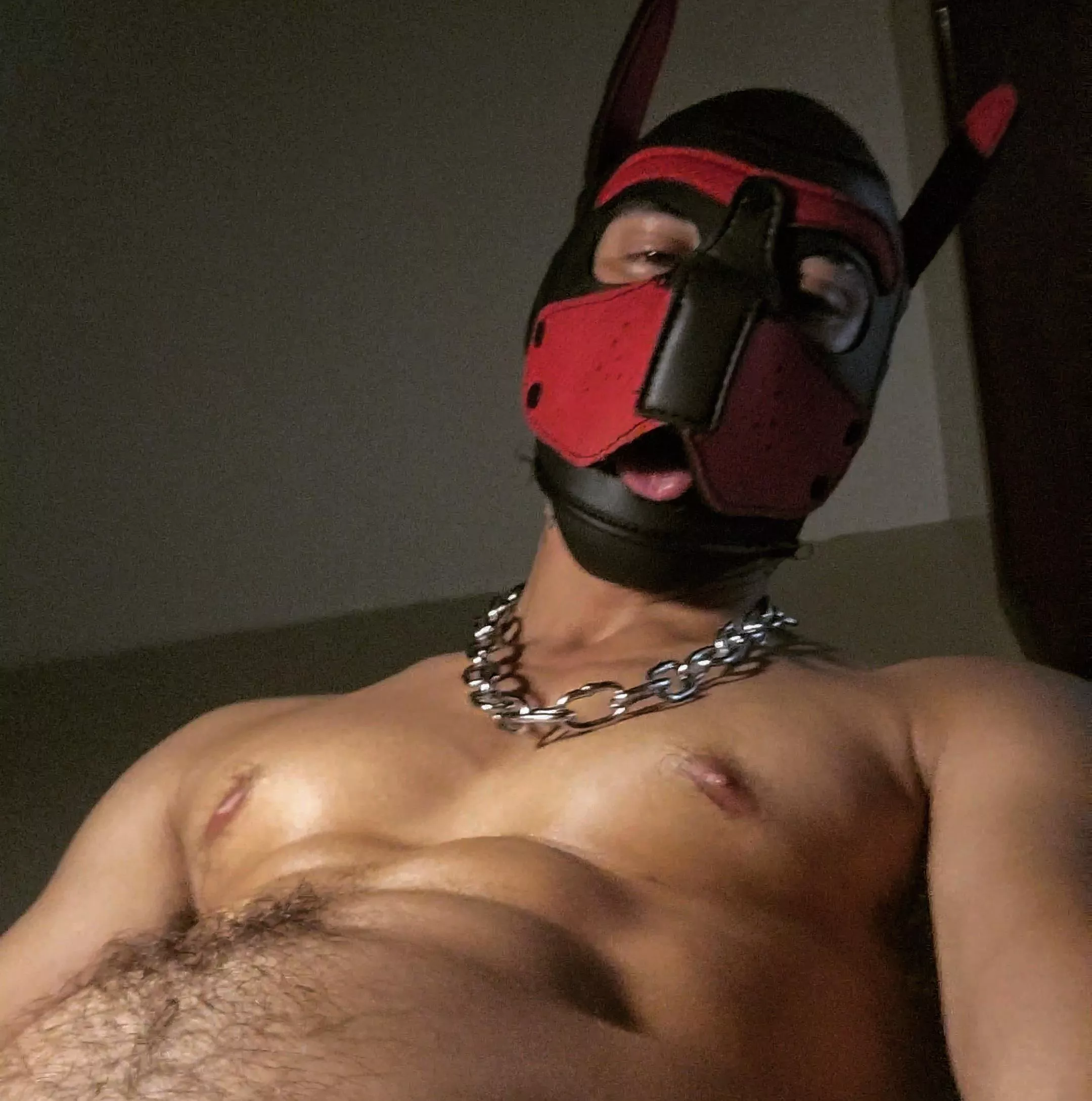 Sweaty pup