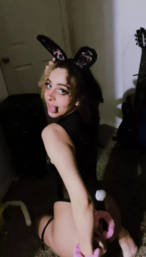 this bunny needs a lesson