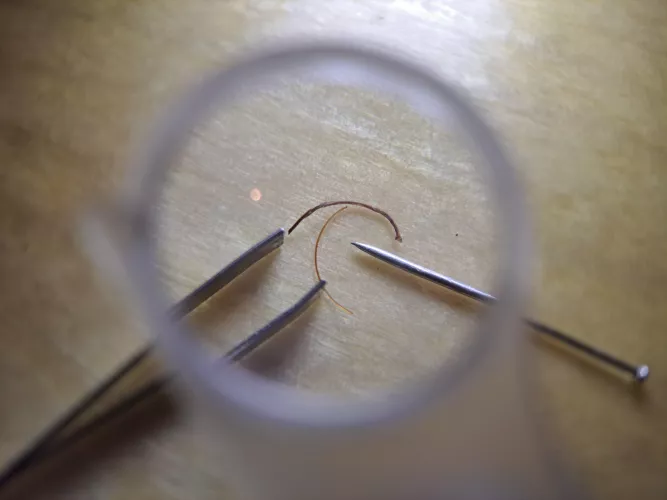 What did I just pull from my face/beard? Normal beard hair for comparison