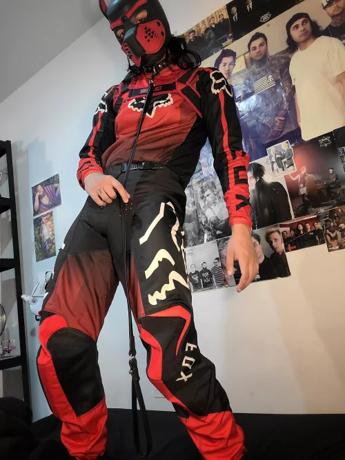 Would you take a good boy on a walk?