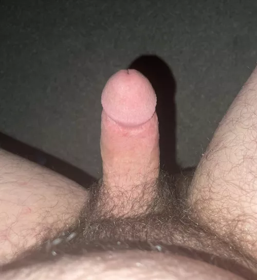 35. How about  a bi(curious) chub?