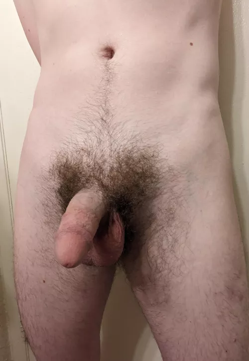 Admiring my mane this AM 🦁