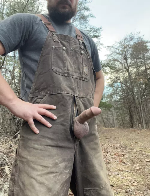 Anyone need  a working man’s beard and boner ?