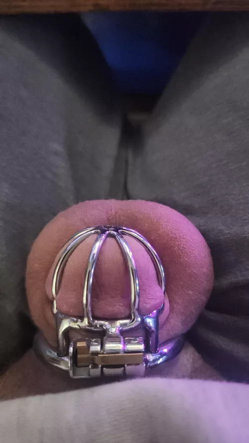 Caged since start of the year. Goal is 1 whole year. And it's getting tough.