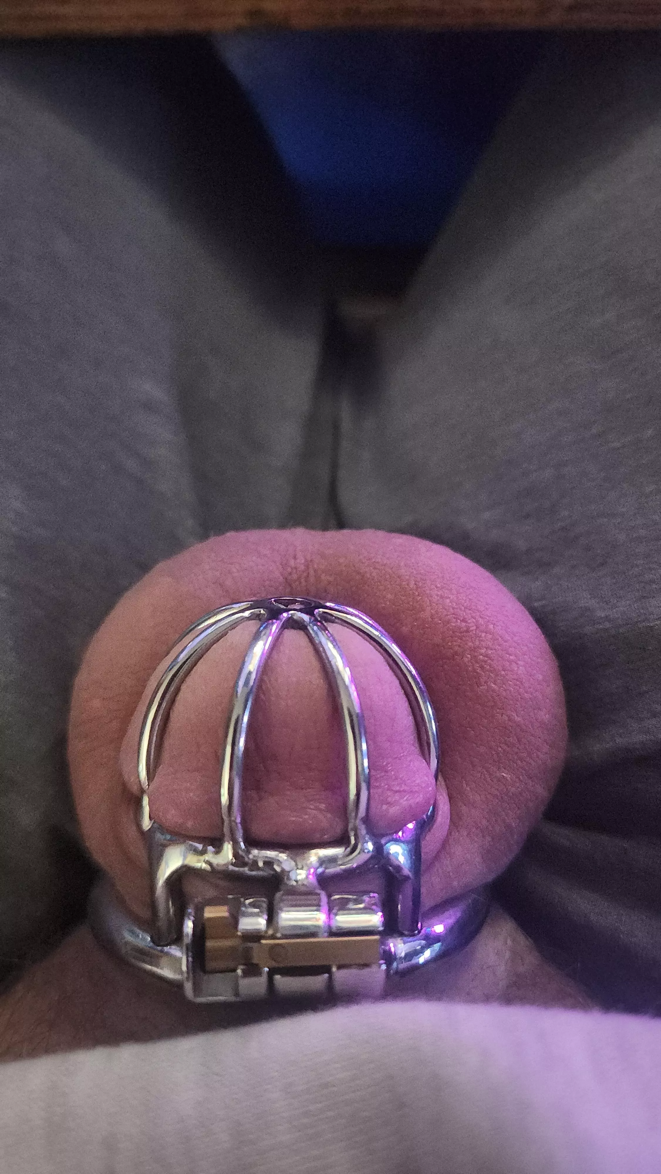 Caged since start of the year. Goal is 1 whole year. And it's getting tough.