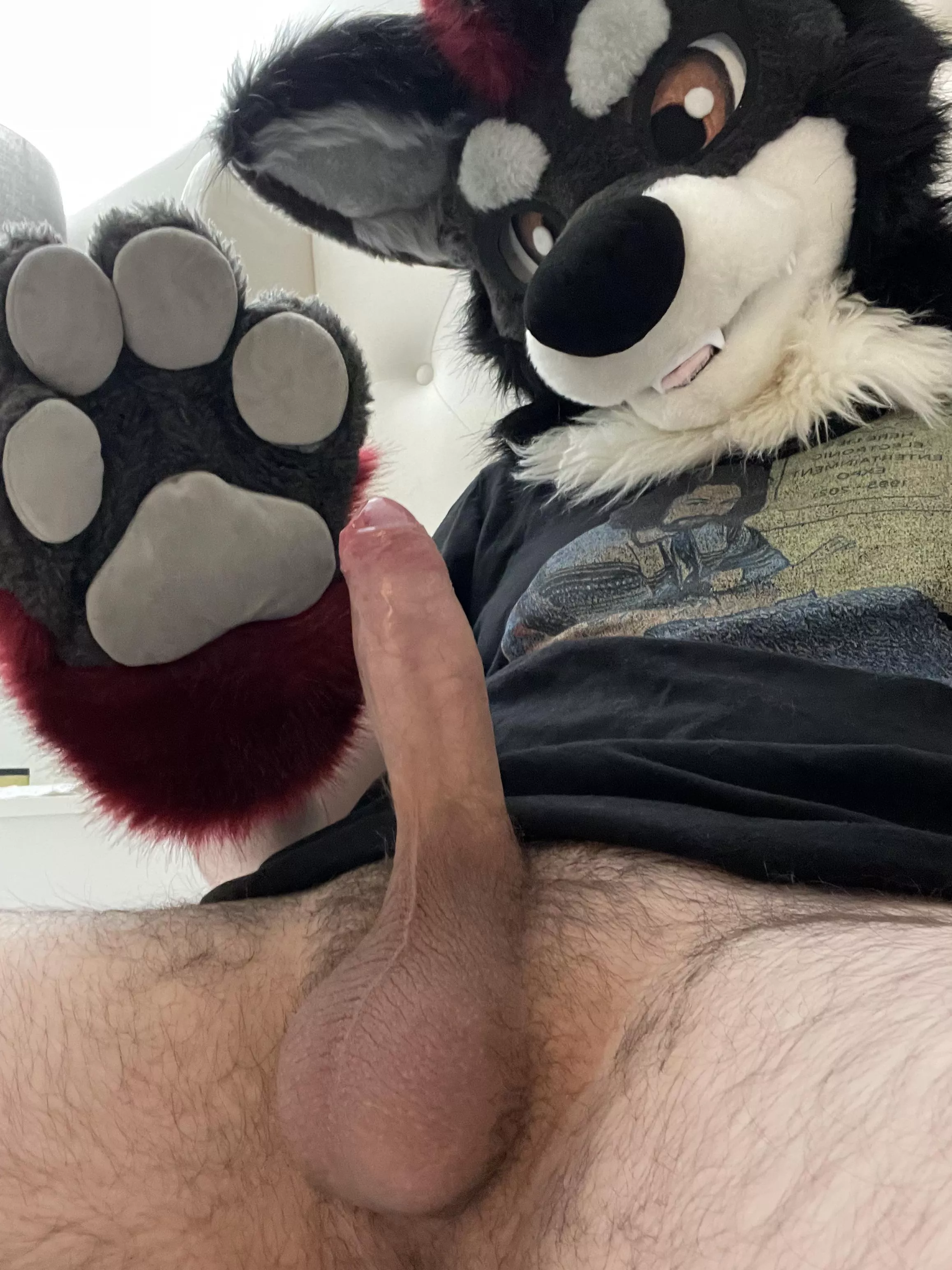 First post here, be nice 😊