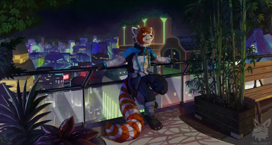 Fluffy view (art by me)