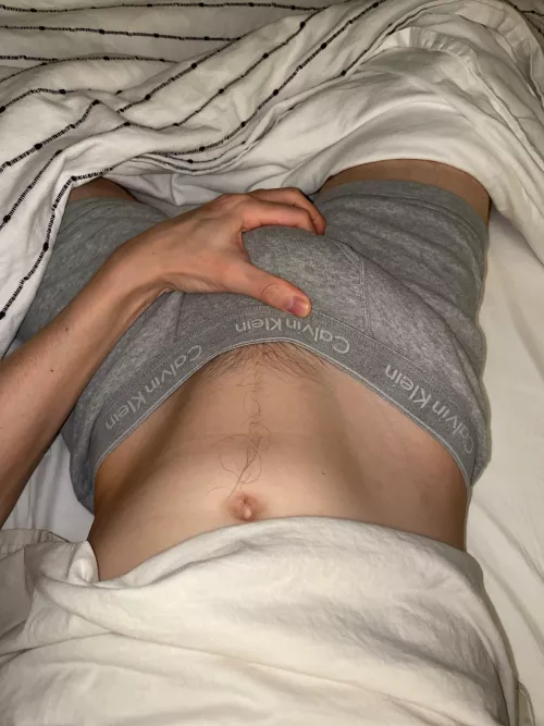 Grey Calvins bulge